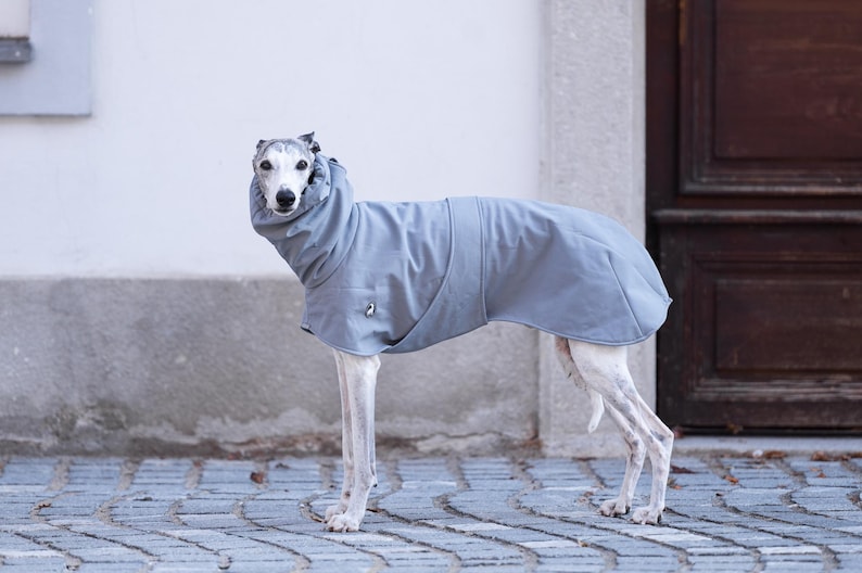 Pu&ograve; includere: Un cappotto per cani grigio con colletto alto indossato da un whippet. Il cappotto presenta una struttura in tessuto liscio a tinta unita che copre la schiena e il petto, con un piccolo logo circolare visibile sul lato del capo.