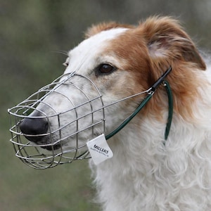 Lightweight Borzoi Muzzle Steel Wire Basket Design Deep Racing Equipment Coursing Safety Silver Solder Construction Quality Comfortable