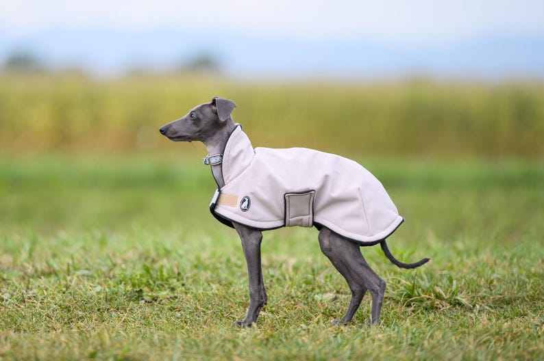 Perfect Dog Lover Gift Whippet Winter Coat Premium Design Double Layer Construction Fleece Lined Comfort Waterproof Protection Technology Windproof Exterior Layer Reflective Safety Elements Cold Weather Essential Walking Companion Solution