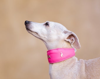 Hot Pink Wide Collar