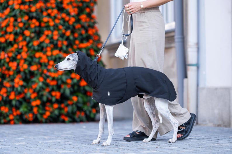 Waterproof Windproof Sighthound Coat with Detachable Exchangeable Belts Fitted Neck Snood Multiple Sizes XXS-XXXL Weather Protection Thermal Design Secure Coverage Quality Material
