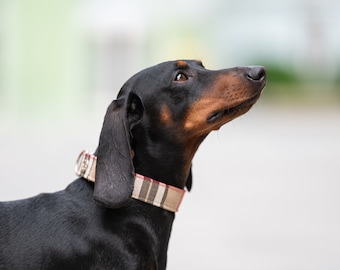 Brown Tartan Adjustable Collar