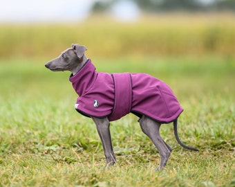 Lässige Mantel Shell Welpe, Windhund Welpen Mäntel, Whippet Welpen Mäntel, Iggy Welpen Mäntel, italienische Windhund Welpen Mäntel