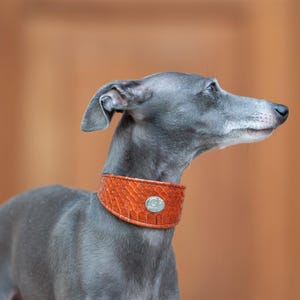 genuine snake skin leather dog collar whippet collar italian greyhound collar puppy dog collar iggy leather collar dog lover gift for dog