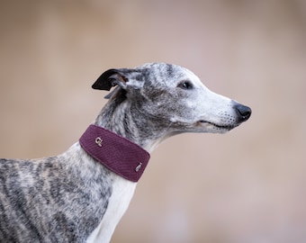 Purple Croc Wide Collar
