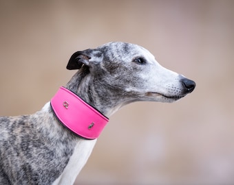 Hot Pink Martingale Collar