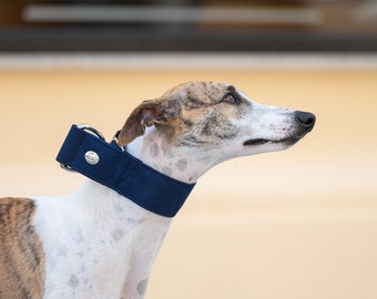 Blue Martingale Collar