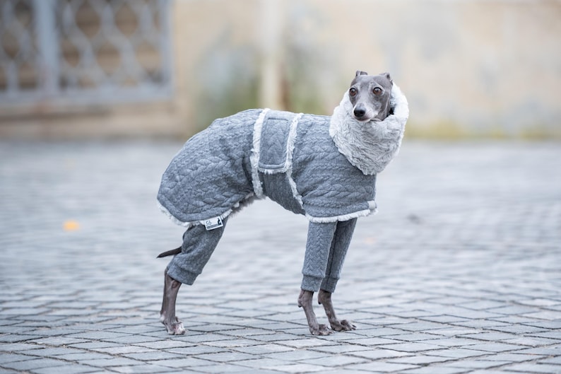Fashionable Dog Apparel Whippet Winter Coat Cable Knit Pattern Sighthound Breed Clothing Faux Fur Lining Stylish Pet Fashion Reflective Safety Elements Custom Embroidery Option Multiple Size Selections Cold Weather Protection Premium