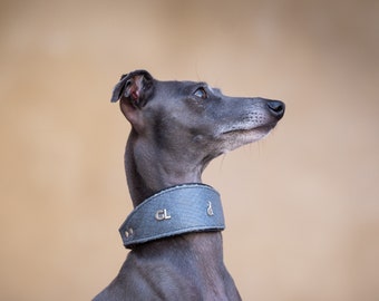 Blue Croc Martingale Collar