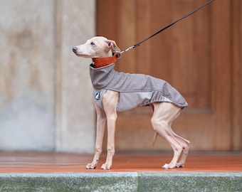 Sweatshirt Sport Shell Puppy