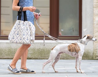 Anchors Martingale Collar