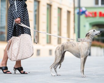 Gold Leash