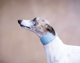 Baby Blue Wide Collar