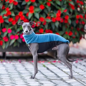 Whippet Sweatshirt Iggy Sweatshirt Galgo Sweater Greyhound Pullover Whippet Tshirt Sighthound Design Custom Fit Deep Chest Coverage Stretchy Material Soft Interior Reflective Elements Size Range