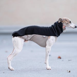 Whippet Sweatshirt Iggy Sweatshirt Galgo Sweater Greyhound Pullover Sighthound Specific Design Winter Protection Layer Stretchy Material Soft Interior Lining Deep Chest Coverage Reflective Elements Custom Size Options Whippet Tshirt