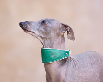 Leather Set, Collar Martingale Green with matching leash,Iggy collar, italian greyhound collar