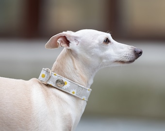 Daisies Adjustable Collar