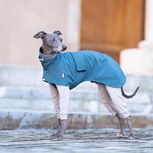 Weather Proof Greyhound Coat Premium Walking Gear Winter Protection Layer High Neck Design Custom Embroidery Option Reflective Safety Elements Harness Opening Feature Soft Shell Construction Fleece Interior Comfort All Season Protection