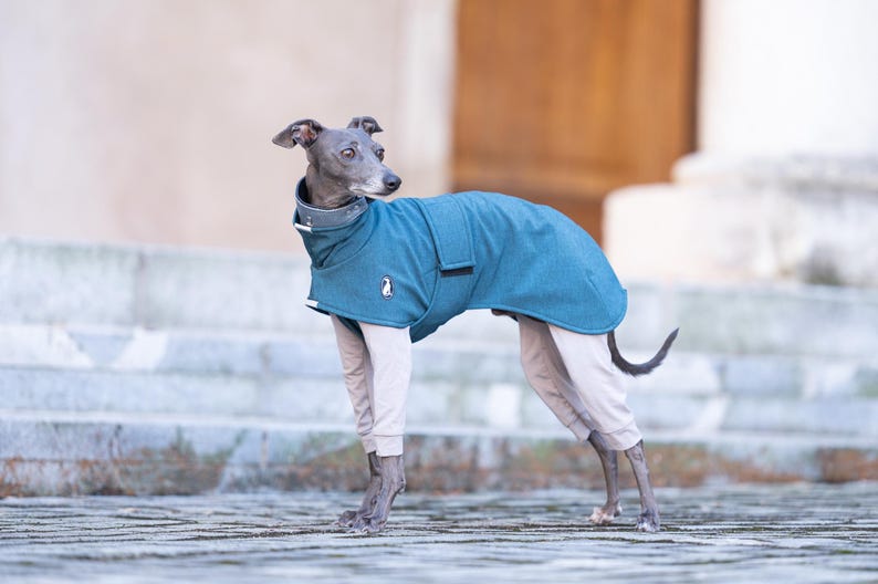 Weather Proof Greyhound Coat Premium Walking Gear Winter Protection Layer High Neck Design Custom Embroidery Option Reflective Safety Elements Harness Opening Feature Soft Shell Construction Fleece Interior Comfort All Season Protection