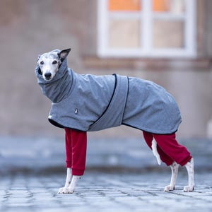 Reflective Safety Coat Sighthound Winter Protection Waterproof Dog Jacket Cold Weather Essential Soft Shell Fabric Construction Warm Fleece Interior Lining Custom Fit Design Greyhound Whippet Apparel High Collar Feature Leash Opening Access