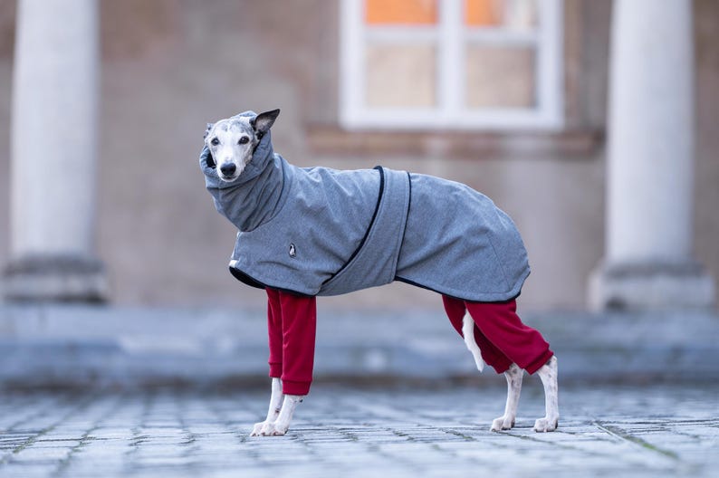 Reflective Safety Coat Sighthound Winter Protection Waterproof Dog Jacket Cold Weather Essential Soft Shell Fabric Construction Warm Fleece Interior Lining Custom Fit Design Greyhound Whippet Apparel High Collar Feature Leash Opening Access