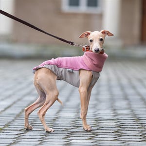以下が含まれることがあります： 淡い色のイタリアン・グレーハウンドが、ツートンカラーの犬用コートを着用しています。コートは、ハイネックのダスティピンクのフリース素材の上部と、ライトベージュの下部で構成されています。首輪にはダークブラウンのリードが取り付けられています。
