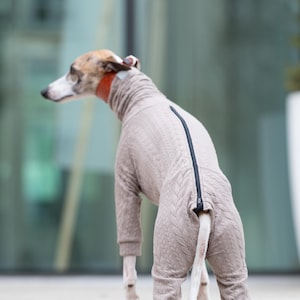 onesi Italian greyhound warm jumpsuit iggy whippet soft overall iggy pajama whippet jumper iggy sweater greyhound overall brades JACQUARD