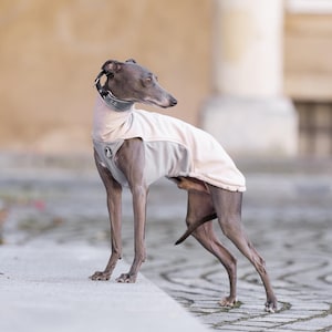 Waterproof Iggy Jumper For Whippet Sweatshirt Galgo Weather Protection Dog Wear For Sighthound Rain Gear Outdoor Use Dog Clothing Greyhound