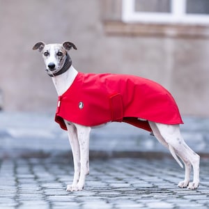Op de afbeelding: Een whippet hond draagt een felrode hondenjas met een klein rond logo aan de zijkant. De hond heeft een wit en grijs vachtpatroon en draagt een donkerbruine en witte geruite halsband om de nek. De jas bedekt de rug en de romp.