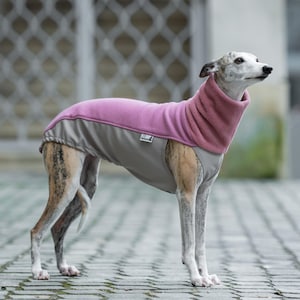 Suéter de inverno Whippet Iggy Moletom Galgo Suéter Greyhound Pulôver Camiseta Whippet Ajuste personalizado Proteção macia Presente para clima quente para cachorro