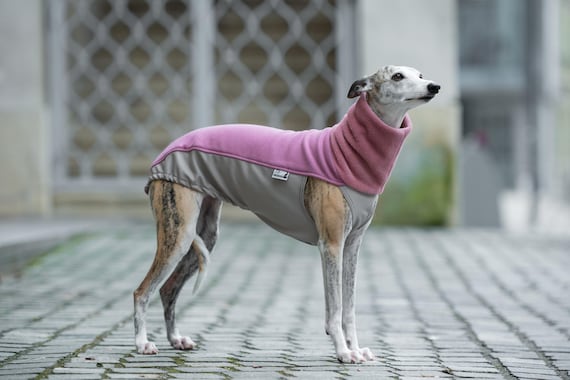 Whippet Winter Sweater Iggy Sweatshirt Galgo Sweater Greyhound Pullover Whippet Tshirt Custom Fit Soft Protection Warm Weather Gift For Dog