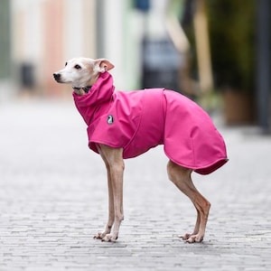 Pu&ograve; includere: Un cappotto per cani rosa acceso con collo alto e una piccola toppa circolare con logo sul lato. Il capo &egrave; progettato per coprire il busto e il collo di un cane snello, con un tessuto liscio in tinta unita che si estende sul dorso e sul petto.