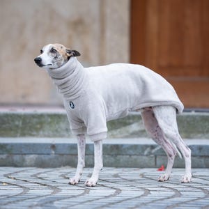 Whippet Pullover Pullover für Iggy Iggy Warmes Kleidungsstück für Galgo Weicher Schutz Volle Abdeckung Haustier tragen flauschiger Iggy-Welpe Whippet Pullover Winter