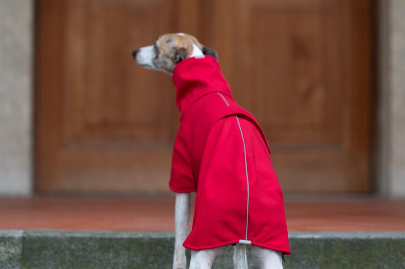 Waterproof Windproof Coat Rain Protect Dog Wear Outdoor Garment Rain Shield Thermal Design Fitted Style Whippet Clothing Exchanegable Belt image 5