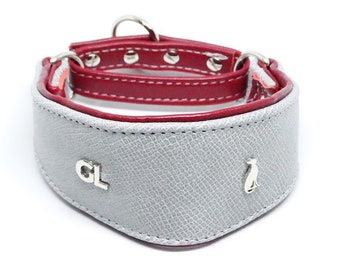 Grey Snake SET collar+leash+poop pouch