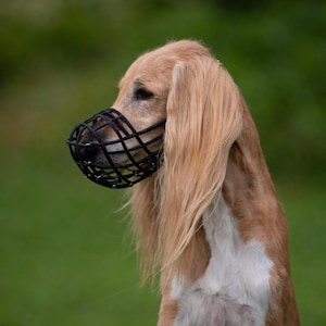Adjustable Basket Muzzle Greyhound Saluki Galgo Lurcher Podenco Multiple Sighthound Breeds Lightweight Plastic Construction Breathable Safety Design FCI Racing Approved Soft Polymer Material Comfortable Fit Leather Neck Strap Coursing