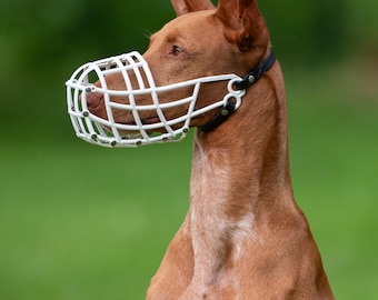 Coursing Racing Shows