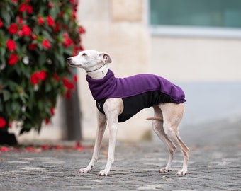 T-Shirt Soft, greyhound coats, whippet coats, iggy coats,italiangreyhound coats