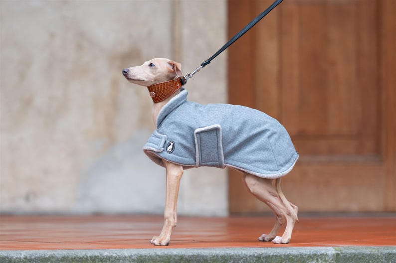 May include: A light gray dog coat with a soft white fleece lining, featuring a structured collar, a side closure with a rectangular flap, and a small circular logo patch on the side. The coat is worn by a slender dog with a brown textured collar and leash.