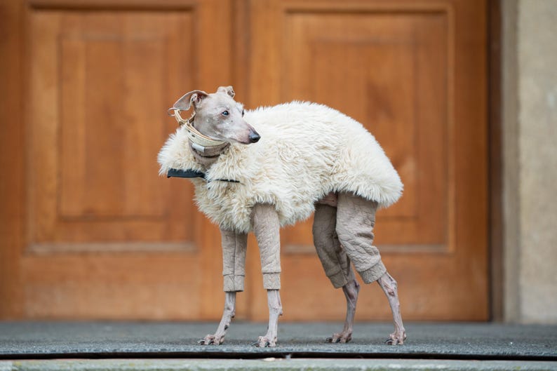 Iggy Winter Coat Faux Fur Vest Whippet Luxury Dog Wear Galgo Gillet Zipper Design Small Dog Soft Pullover Sighthound Apparel For Puppy Gift image 5