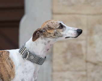 Border Tartan Adjustable Collar