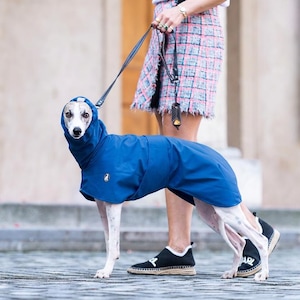 Può includere: Un impermeabile blu per cani con cappuccio e un piccolo logo circolare sul lato. Il capo copre la schiena e il collo di un cane grigio e bianco, caratterizzato da una consistenza liscia e resistente all'acqua con una vestibilità sicura.