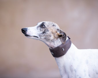 Brown Croc Wide Collar