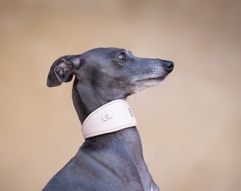 Leather Collar Powder Pink, Iggy collar, Whippet collar, Galgo collar, Saluki collar, Greyhound collar,Italiangreyhound collar