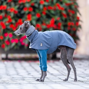 Premium Sighthound Jacket Weather Protection Gear Winter Walking Coat Reflective Safety Features Custom Embroidery Option Harness Opening Design Soft Shell Construction Fleece Interior Lining Adjustable Neck Style Breathable Material