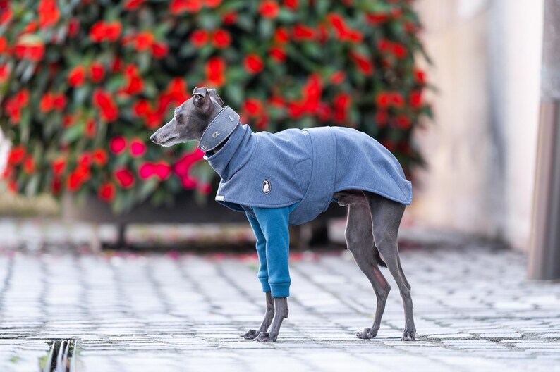 Premium Sighthound Jacket Weather Protection Gear Winter Walking Coat Reflective Safety Features Custom Embroidery Option Harness Opening Design Soft Shell Construction Fleece Interior Lining Adjustable Neck Style Breathable Material