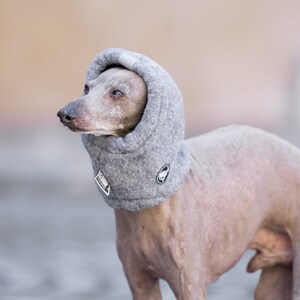écharpe chaude iggy écharpe whippet lévrier italien écharpe chaude saluki pour chiens écharpe chaude podenco écharpe galgo accessoires pour animaux de compagnie chien