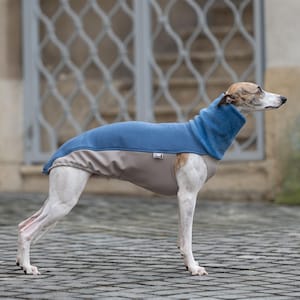 Whippet Sweatshirt Iggy Sweatshirt Galgo Sweater Greyhound Pullover Sighthound Specific Design Stretchy Material Soft Interior Lining Deep Chest Coverage Custom Size Options Reflective Safety Features Warm Layer Piece Whippet Tshirt