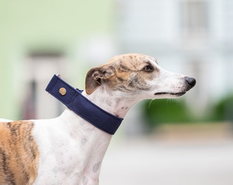 Martingale (Pull-stop) or Adjustable Collar Plump