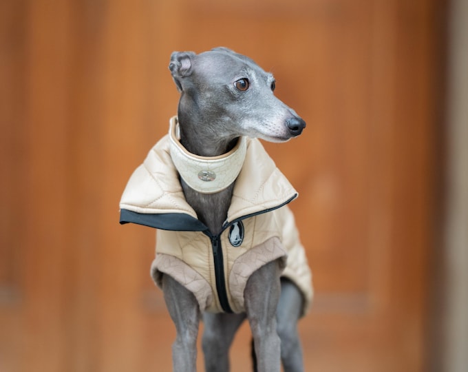 Featured listing image: Vest Guilted